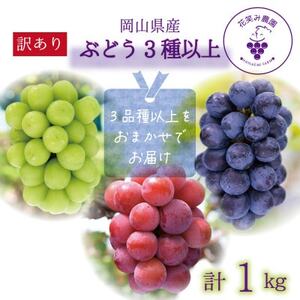 岡山　花笑み農園のブドウ『訳ありMIX3種以上』1kg　W3M-1【配送不可地域：離島】【1650788】
