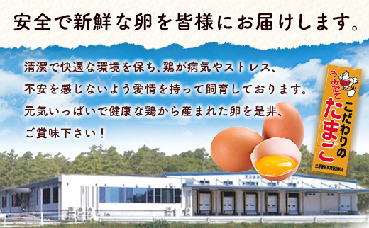 新鮮 たまご 30個×3か月 定期便 児湯の赤卵 小分け 3パック 卵 鶏卵 玉子 たまごかけご飯 お取り寄せ 小分け 生卵 濃厚 玉子（※2026年9月、10月、11月配送）【C464-091011