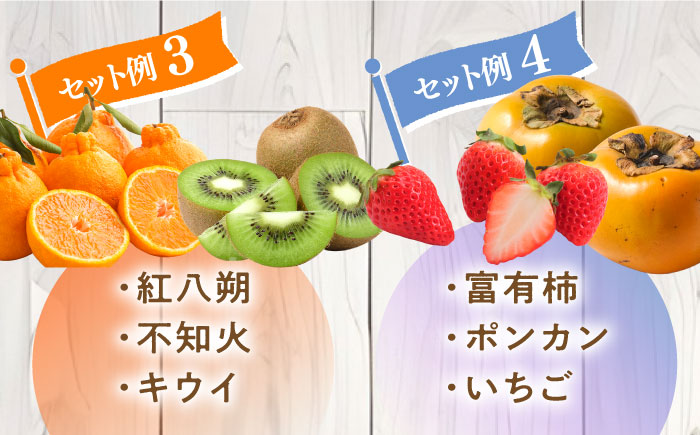 【4回定期便】旬のフルーツ定期便 春夏秋冬コース （2〜3品目×4回）季節の果物 詰め合わせ 果物 フルーツセット / 南島原市 / 吉岡青果 [SCZ020]