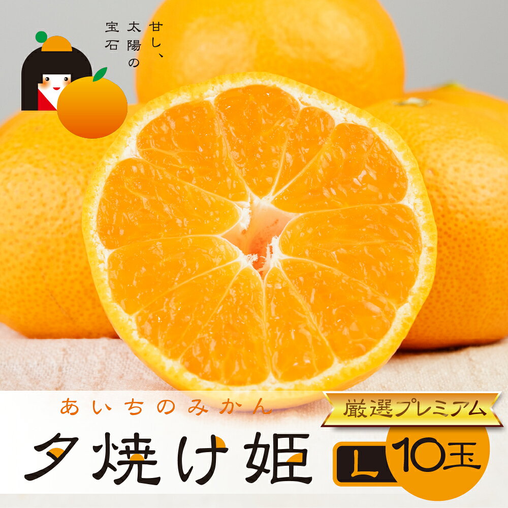 【ふるさと納税】《2026年産》こだわり蜜柑 夕焼け姫 厳選プレミアム 黒の化粧箱 Lサイズ 10玉 みかん ミカン mikan 柑橘 柑橘類 フルーツ 果物 詰め合わせ 愛知県 豊橋市 マルカワ園芸