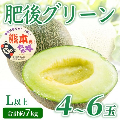 肥後グリーンメロン  4～6玉 L以上 約7kg(宇城市)【1702450】