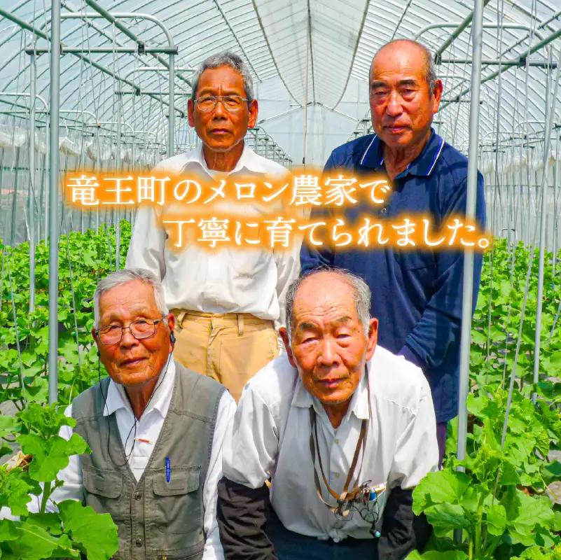 特選 メロン 青肉 4L 1玉 メロン メロン メロン メロン