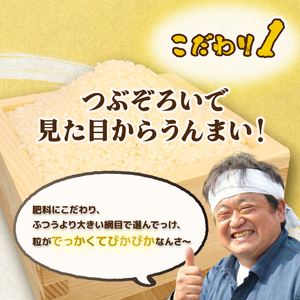コシヒカリ 5kg 令和7年産コシヒカリ 12月 特別栽培米 新潟 プレミアム 