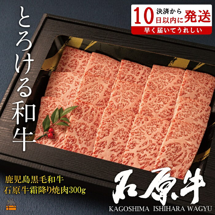 【ふるさと納税】世界が絶賛した“とろける和牛”幻の石原牛 霜降り焼肉300g ( 鹿児島黒毛和牛 ブランド牛 牛肉 ビーフ こだわり プレミアム オメガ3脂肪酸 贈答 ギフト 徳之島 奄美 鹿児島 美味しい 霜降り 脂身 ステーキ 焼肉 BBQ 世界基準 石原PRO 決済後10日以内発送 )