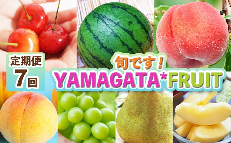 
            【定期便7回】旬です！YAMAGATA＊FRUIT FY25-285
          