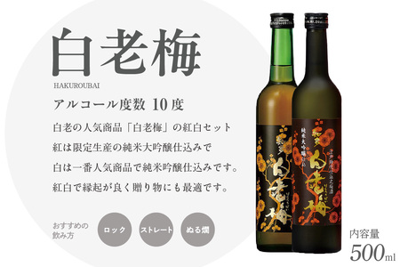 知多の梅酒「白老梅」純米吟醸、純米大吟醸のセット お酒 リキュール アルコール 佐布里梅 梅酒 澤田酒造 特産品 贈り物 ギフト 飲み比べ 晩酌 宅飲み 家飲み 純米吟醸 大吟醸 白老梅 愛知県 知多
