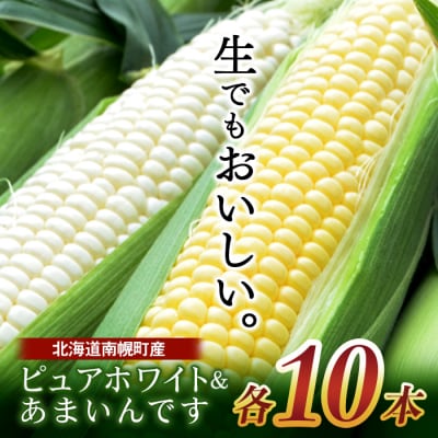 北海道産 とうもろこし ピュアホワイト10本&あまいんです10本 計20本 令和6年配送