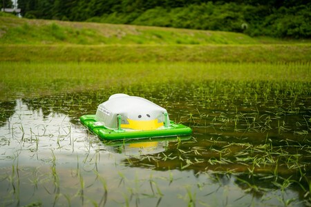 【令和5年度産】アイガモロボット米 秘境奥島根弥栄つや姫 ５kg 米 お米 つやひめ お取り寄せ 特産 精米 白米 ごはん ご飯 コメ 新生活 応援 準備【1851】