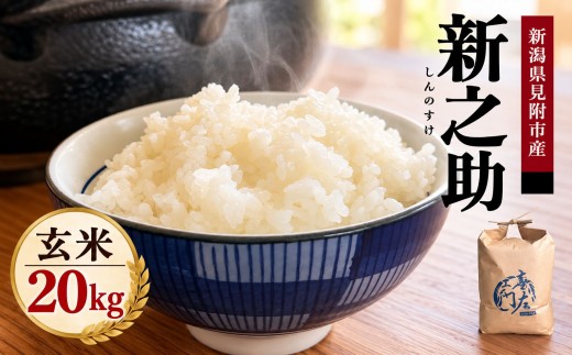 【ファーム喜左ヱ門】令和8年産 新之助（玄米) 20kg