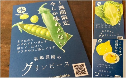AE001 季節のおまかせ野菜セット