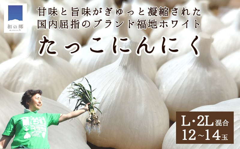 
日本一たっこにんにく・12～14玉（青森県田子町産にんにくL～2L）
