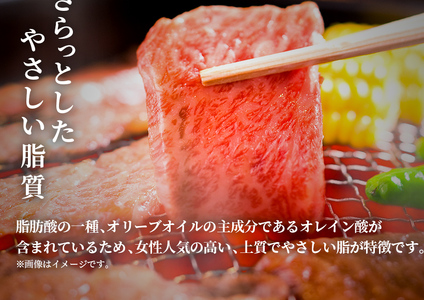 【和牛セレブ】【復興支援】能登牛 牛肩ロース 焼肉 1kg  牛肉 最高級 黒毛和牛 和牛 肉汁