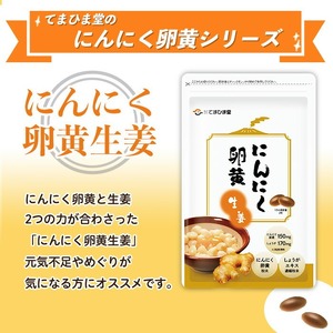 No.1285-A てまひま にんにく卵黄生姜(1袋 62粒入り・2袋×3回)  鹿児島 日置市 ニンニク 健康食品 栄養 元気 カプセル 安全安心 生姜 サプリ サプリメント 定期便 頒布会 【てま