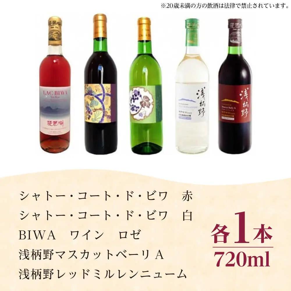 ワイン BIWA浅柄野セット BIAC011 ワイン