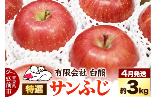 【27年4月上旬～クール便発送】りんご 特選 白熊 サンふじ 絆 約3kg（9～12玉程度）糖度13度 CA貯蔵 林檎 リンゴ 果物 くだもの フルーツ 青森 先行受付 [先行予約 アップル おいしい ふじ りんご 果実 果物 赤色 糖度 美味 林檎]