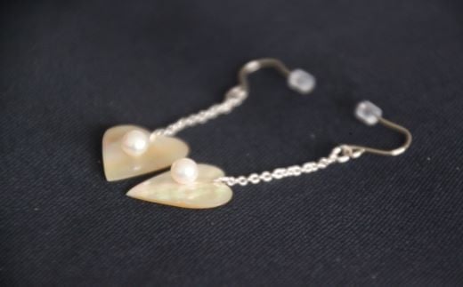 貝の種類：アワビ