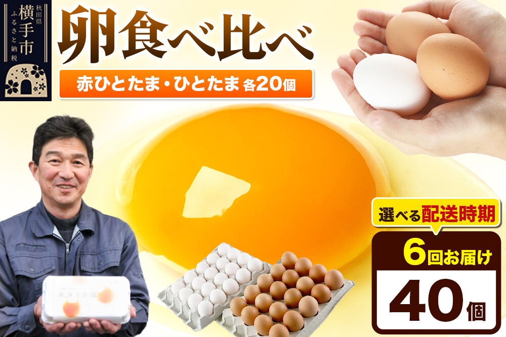 
            《定期便6ヶ月》赤ひとたま 20個・ひとたま 20個 計40個（業務用）
          
