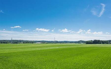 矢吹町 やぶきまち応援寄附金 6,000円 【返礼品なし】 F6U-315