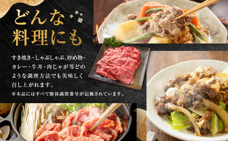ちょっとリッチな飛騨牛（希少部位）約2.4kg【1月・4月・7月・10月発送】定期便4回  | みすじ ウデ すき焼き しゃぶしゃぶ  希少部位 600g 和牛 国産牛 冷凍 飛騨高山 飛騨牛のこもり