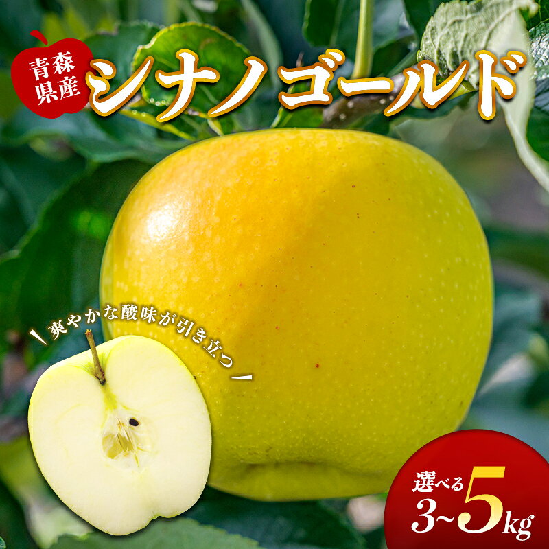【ふるさと納税】藤崎町産 りんご シナノゴールド 約3kg or 約5kg【ふじさき季の会】容量が選べる 青森りんご リンゴ 林檎 アップル ふじ発祥の地 おすすめ 東北 青森県 藤崎町 F41-0126var