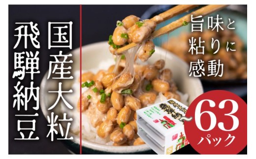 
                  《5000円～選べる内容量》飛騨納豆 国産大豆 納豆 大粒 15個 / 24個 / 63個/ 橋本商店 なっとう ナットウ 高級納豆 大豆 大容量 個包装 老舗 発酵 腸内環境 健康 冷蔵 冷蔵配送 ギフト 朝食 時間指定 [Q071] 5000円 5千円 7000円 7千円 10000円 1万円
                