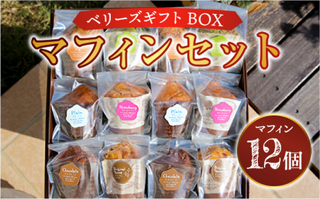 ベリーズギフトBOX マフィンセット 12個 詰め合わせ AC0401