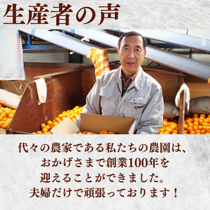 ▼有田みかん 2kg（小玉）（2S～S） ※12月上旬〜1月上旬頃順次発送予定 【ymk004-2-s】