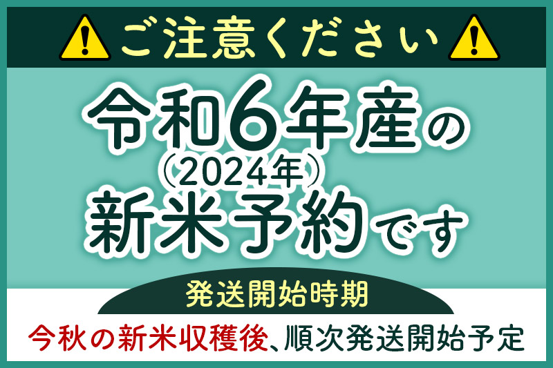 ※令和6年産 新米予約※《定期便9ヶ月》秋田県産 あきたこまち 20kg【無洗米】(10kg袋) 2024年産 お届け周期調整可能 隔月に調整OK お米 みそらファーム|msrf-30809