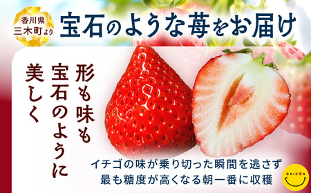 【先行予約】DAICONファーム さぬきひめJEWEL BOX（さぬきひめ苺（特選大粒）2箱 約800g） | いちご 苺 果物 果実 果汁 青果物 高級 大粒いちご 特選大粒 ご褒美 贈答 贈り物 