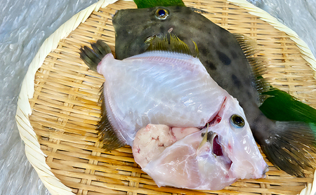 本 カワハギ 3～6尾入り 1kg分 9月～1月配送（淡路島由良産/活じめ/下処理済み） 海鮮 鮮魚 冷蔵配送 兵庫県 洲本市 淡路島