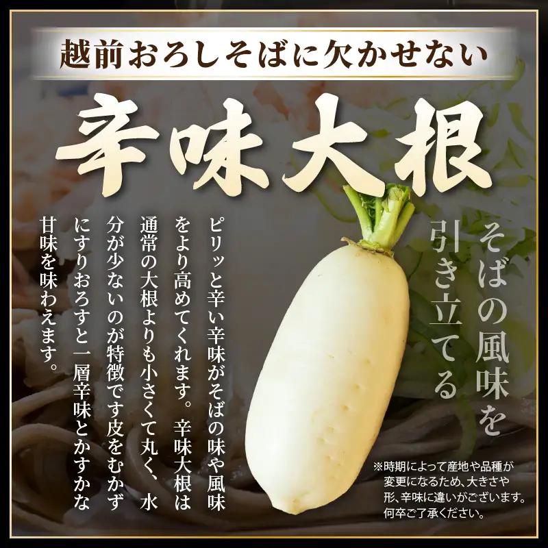 【年越し限定 】 越前おろしそば 生そば6人前（つゆ・ネギ・辛味大根付き） 「めん房新月亭」 冷蔵【蕎麦】 [e21-a008_12] 