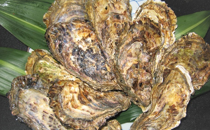 牡蠣 2026年 先行予約 殻付き牡蠣 お徳用 一斗缶 （小粒 約100個、約11kg） 山銀商店 瀬戸内海虫明湾産 生牡蠣 かき 魚介類 カキ 軍手 ナイフ付き 加熱調理用 