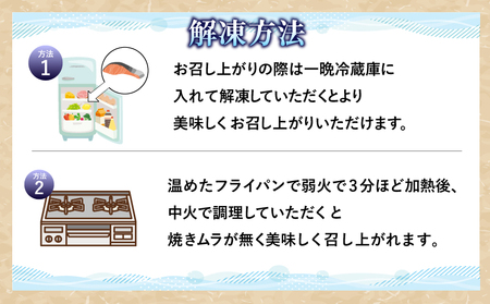 定期便 訳あり 鮭 サケ 2kg × 6回 計 12kg 冷凍 銀鮭 海鮮 規格外 不揃い 切り身  テッパン返礼品 【北海道･沖縄･離島への配送不可】 ( 大人気鮭 人気鮭 絶品鮭 至高鮭 詰め合わ