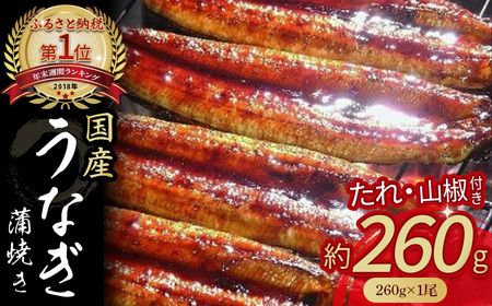 うなぎ蒲焼き【260g x 1本】 冷凍 たれ付き 蒲焼 国産 鰻 ウナギ うなぎ 蒲焼き 肉厚 土用の丑の日 本格うなぎ 山椒付き 四万十鰻 おすすめ ／Esu-40