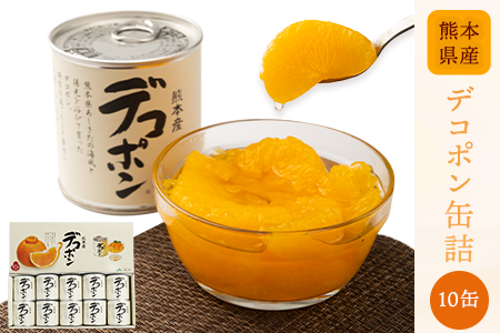 缶詰 デコポン 10缶 缶詰