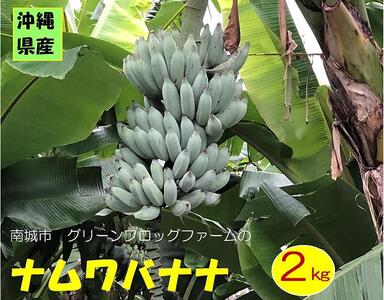 バナナ 南城市 ナムワバナナ 2kg