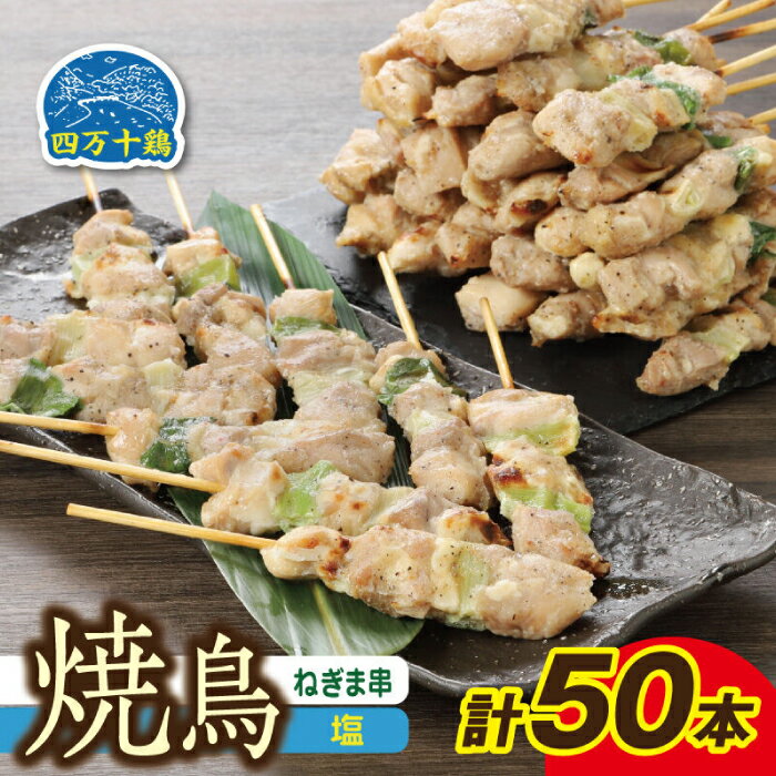 【ふるさと納税】高知県産 四万十鶏 ネギマ 串 ( 塩 ) 50本 【株式会社　羽根】[ATCK008] 国産 焼き鳥 焼鳥 冷凍 小分け パック 鶏肉 モモ肉 ねぎま レンチン レンジでチン 簡単調理 時短 手軽 おつまみ バーベキュー お弁当 おかず