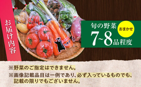【数量限定】旬の 野菜 セット (約3㎏/野菜7-8品程度) / 野菜 新鮮 旬 詰合せ セット 熊本県 菊陽町 特産品 【有限会社さんふれあ】[BHAK023]