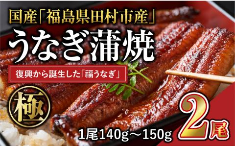 国産 福うなぎ 蒲焼 (140g～150g) 2尾 うなぎ