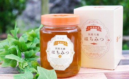 はちみつ 2kg (1kg×2) 非加熱 国産 天然 純はちみつ もちの木 蜂蜜 ハチミツ 天然蜂蜜 天然はちみつ 国産はちみつ 国産蜂蜜 無添加 無加工 非加熱はちみつ 非加熱蜂蜜 瓶詰め 福岡 福