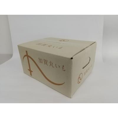 ふるさと納税 能美市 能美市特産　加賀丸いも　2kg |  | 03