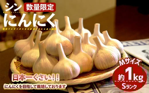 ＜7月上旬～9月中旬発送予定＞＜数量限定＞シン・にんにく(Sランク・Mサイズ約1kg)【m102-01】【トラキチ】