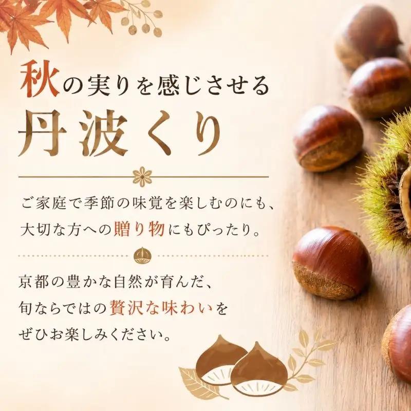先行予約 2026年度産 丹波くり 約2kg 3Lサイズ 栗 京都