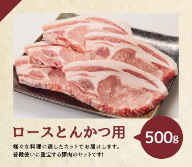 宮崎県産豚肉バラエティ4種セット2.5kg　豚肉[G7523]