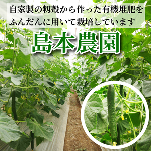 きゅうり 秀品 5kg以上（54本）新鮮 朝採れ きゅうり 小松島市 野菜 夏野菜 産地直送 5kg 酢の物 胡瓜 キュウリ 送料無料