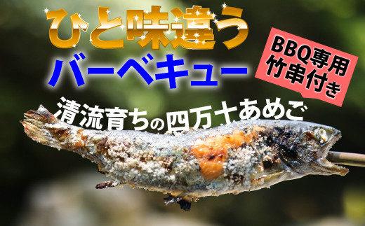 
子どもが喜ぶバーベキュー！清流育ちの四万十あめご【BBQ専用竹串付き】 Eay-01 おつまみ バーベキュー BBQ アウトドア アメゴ 魚 魚介 川魚 塩焼き
