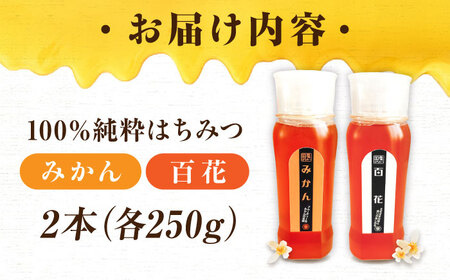 手軽に簡単チューブはちみつ（百花・みかん）各250g 計2本セット 蜂蜜 ハチミツ お取り寄せ グルメ 三次市/重森養蜂場[APBO009]