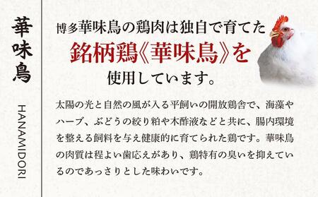 博多華味鳥　水たき・もつ鍋セット　６～８人前　HS-C1