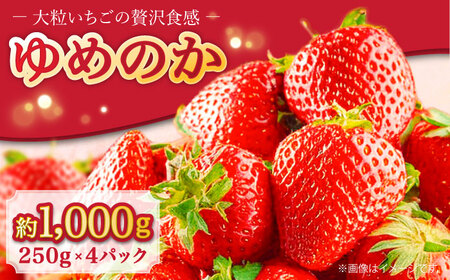 【2027年1月-発送】 いちごゆめのか 250g × 4パック [SAC008] いちご
