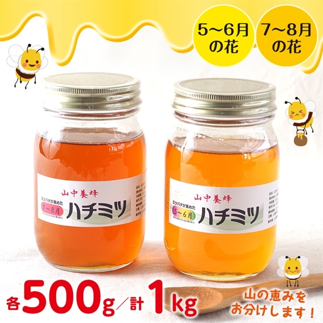 Q-9z 【自然のまま】富津産ハチミツ食べ比べ500g×２本